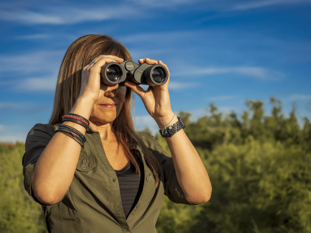 Olympus 8-16×40 S binoculars with zoom