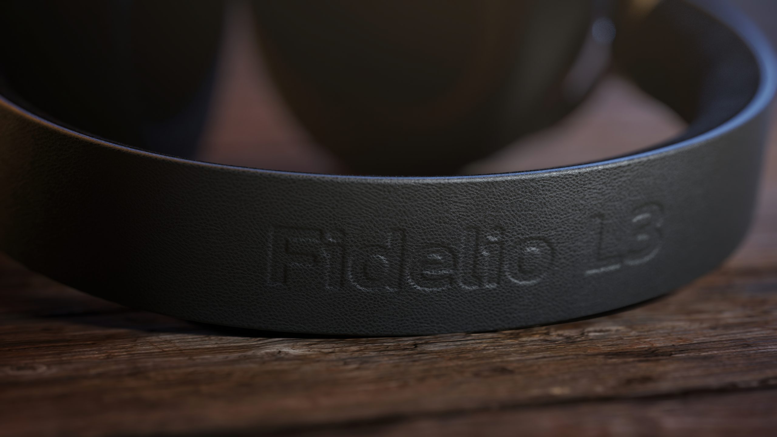 Philips Fidelio L3 headband