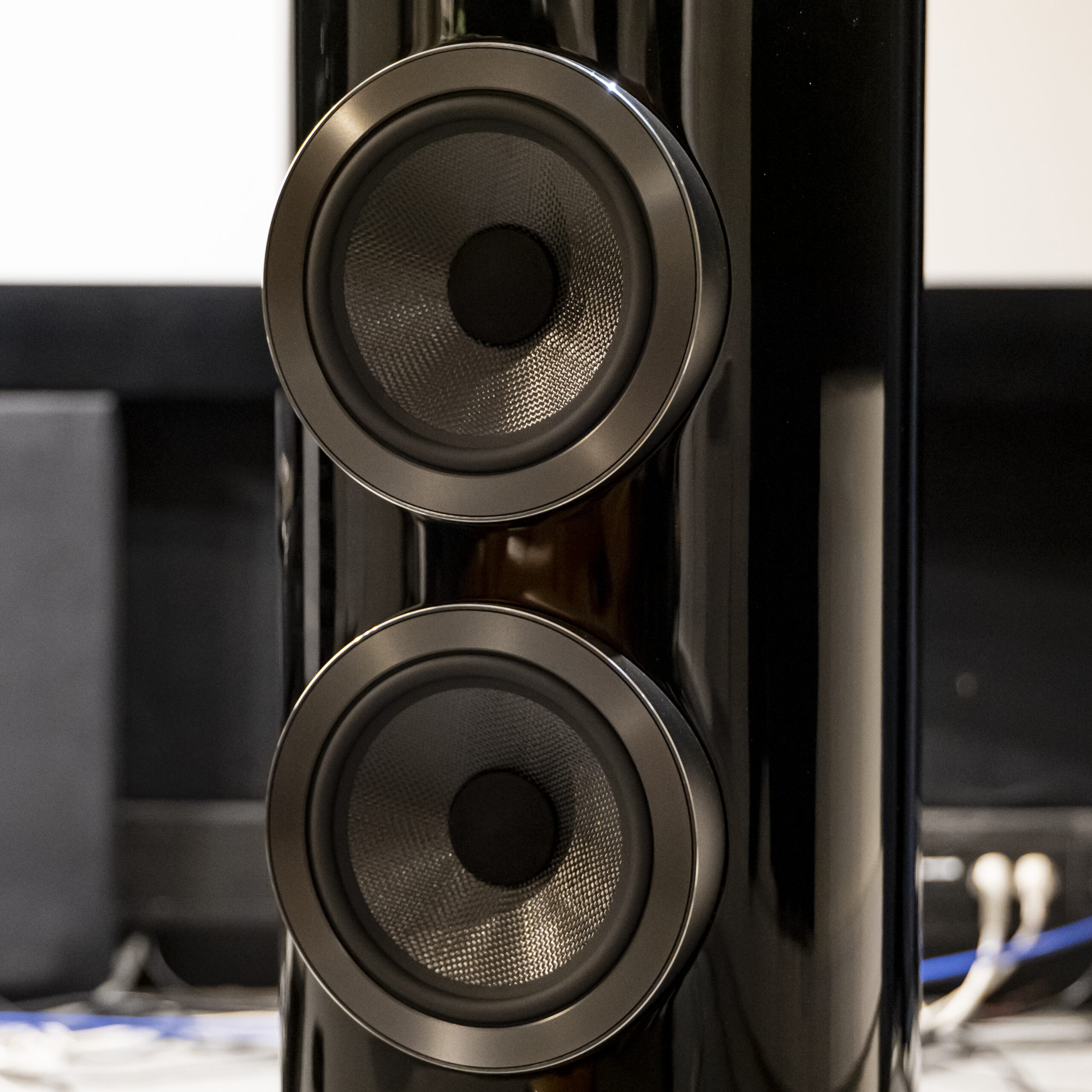 Bowers Wilkins 803 D4 bass units GeirNordby 1