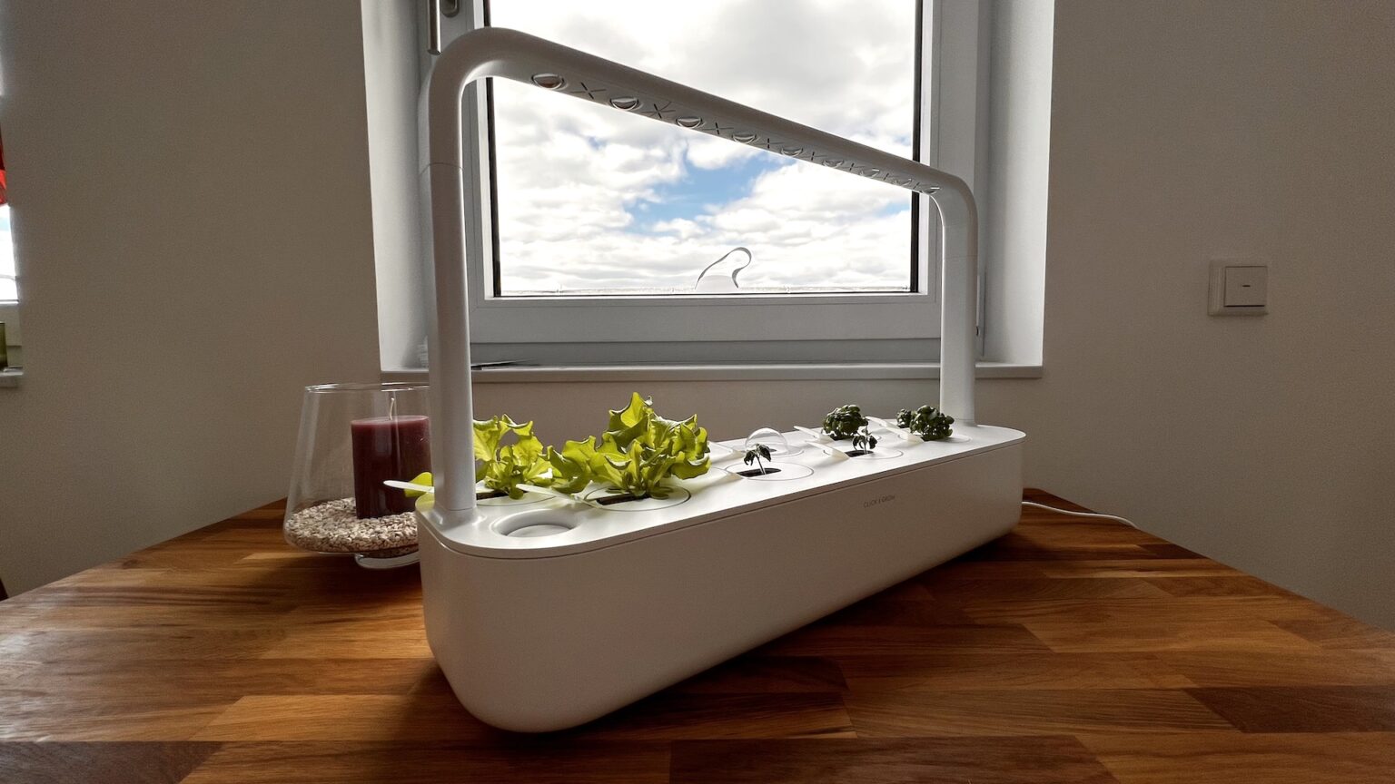 Click & Grow Smart Garden 3 Indoor Gardening Kit (Includes Basil