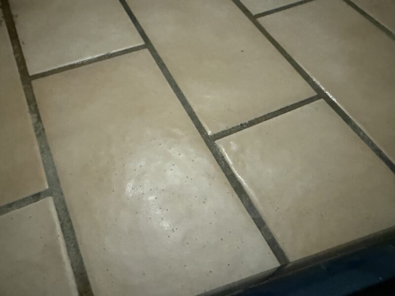 Electrolux-800-stain-after-web