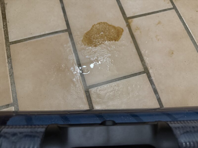 Electrolux-800-stain-before-web