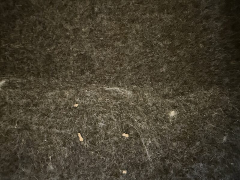 Bespoke-AI-Jet-Ultra-hair-web Bespoke-AI-Jet-Ultra-hair-web