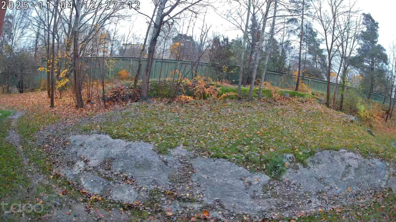 tapo-c460-day-scaled