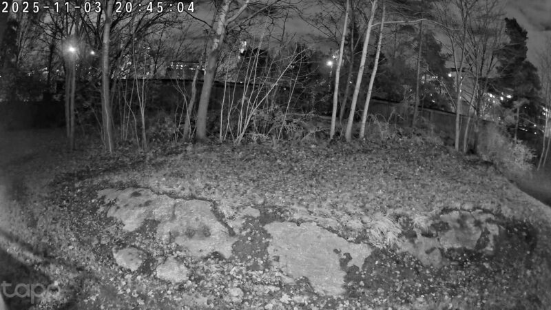 tapo-c460-night-scaled