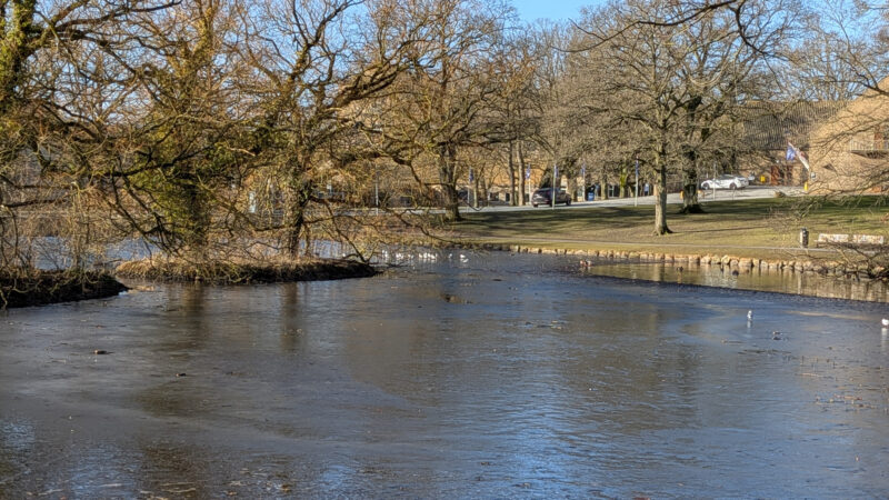 PX10A PXL_20260301_082650260