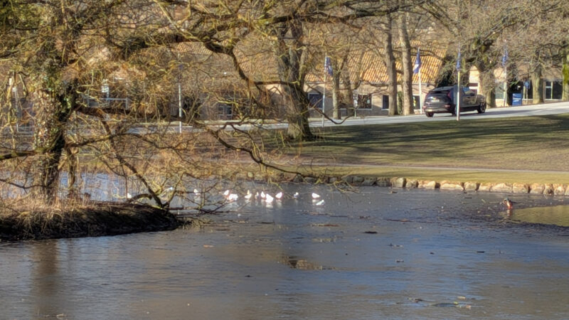 PX10A PXL_20260301_082656278